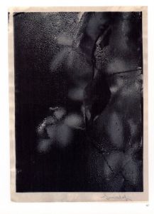 「The Window of My Studio / Josef Sudek  」画像1