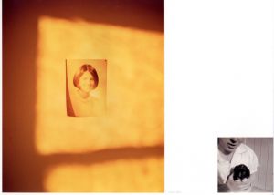 「【サイン入 / Signed】Excerpts From Silver Meadows / Todd Hido」画像2