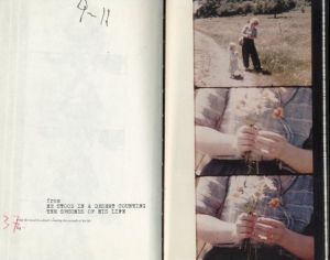 「THE DIARY FILM ( DAGBOKSFILMEN ) / ジョナス・メカス」画像3