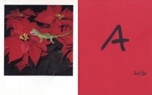 NOBUYOSHI ARAKI POLAEROID／荒木経惟（NOBUYOSHI ARAKI POLAEROID／Nobuyoshi Araki)のサムネール