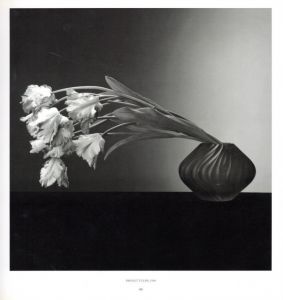 「PISTILS / Robert Mapplethorpe」画像3