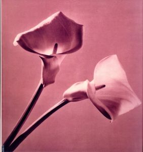 「PISTILS / Robert Mapplethorpe」画像1