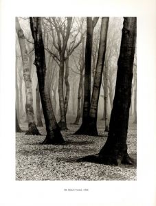「Albert Renger-Patzsch Photographer of Objectivity / Albert Renger-Patzsch」画像6