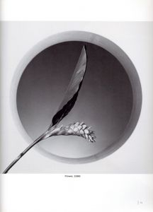 「STERN SPEZIAL FOTOGRAFIE NO.33 Robert Mapplethorpe / Robert Mapplethorpe」画像2