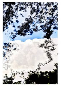 「HDR_nature / 水谷吉法」画像2