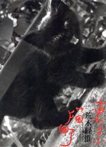 東京猫町／荒木経惟（Living Cats in Tokyo／Nobuyoshi Araki)のサムネール