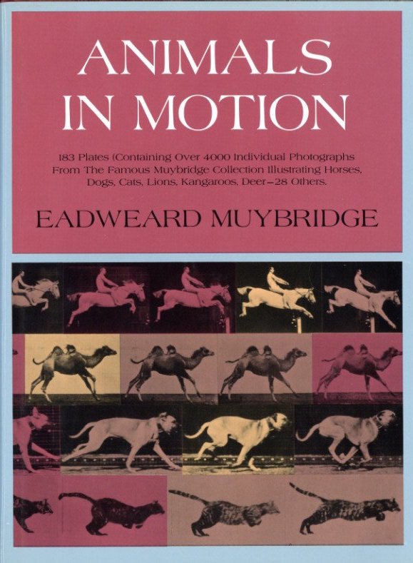 古書古本 dessin：Eadweard Muybridge: Muybridge's Complete