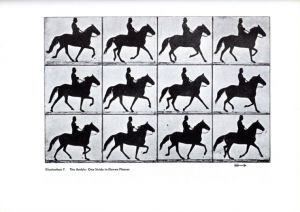 「ANIMALS IN MOTION / Eadweard Muybridge 」画像1