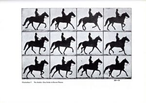 ANIMALS IN MOTION / Eadweard Muybridge | 小宮山書店 KOMIYAMA