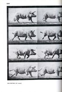 「ANIMALS IN MOTION / Eadweard Muybridge 」画像2