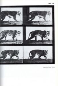 「ANIMALS IN MOTION / Eadweard Muybridge 」画像3
