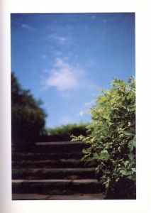 「HUNTER GREEN / Terri Weifenbach　」画像1