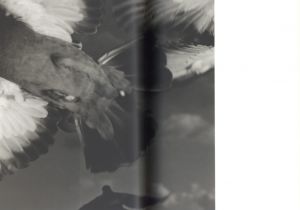 「カメラキメラ / オノデラユキ」画像2