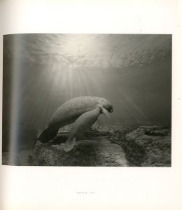 「HIROSHI SUGIMOTO 《 日本語版図録 》 / 杉本博司」画像2