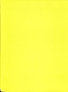 「Avedon : Women (Yellow) / Author: Joan Juliet Buck, Abigail Solomon-Godeau Photo: Richard Avedon」画像1