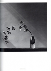 「Flowers / Robert Mapplethorpe」画像2