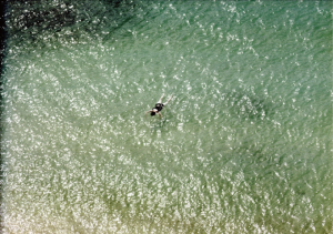 「THE MYSTERIOUS OPACITY OF OTHER BEINGS / Richard Misrach」画像1