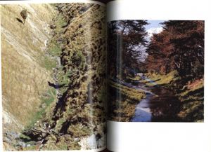 「Quarterly DUNE No.30 / 著：林文浩」画像2