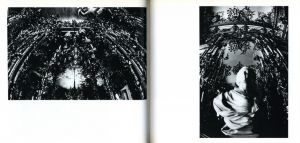 「ルードヴィヒⅡ世の城 / 写真：川田喜久治　解説：澁澤龍彦」画像2