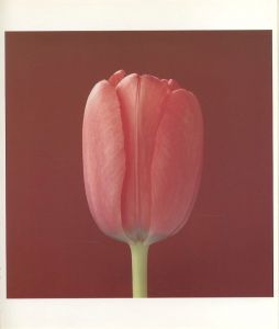 「FLOWERS / Photo: MAPPLE THORPE　Text: Patti Smith」画像2