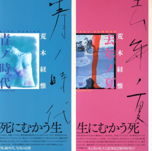 青ノ時代  /  去年ノ夏　2冊セット／荒木経惟（Blue Period / Last Summer Set of 2 books／Nobuyoshi Araki)のサムネール