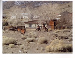 「The Wildest Prairies / Charlotte Dumas」画像1