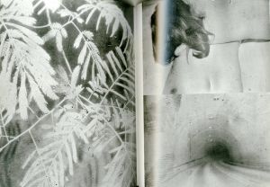 「aperture 219 TOKYO / Photo: Takuma Nakahira, Nobuyoshi Araki, Takashi Homma, Issei Suda, Rinko Kawauchi and more 」画像1