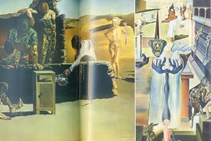 「DALI / サルバドール・ダリ　翻訳：瀧口修造」画像3