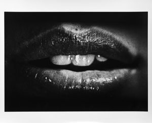 Halo【サイン入】／森山大道（Halo【SIGNED】／Daido Moriyama )のサムネール