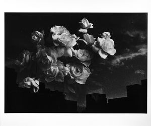 Untitled【サイン入】／森山大道（Untitled【SIGNED】／Daido Moriyama )のサムネール