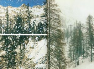 「Gerhard Richter Sils / Gerhard Richter」画像3