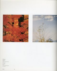 「Uta Barth / ユタ・バース」画像3