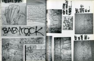 「Graffiti at the Millennium / 著：ステファン・パワーズ」画像1
