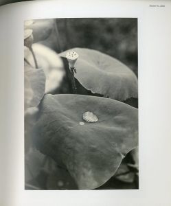 「Wolfgang Tillmans: Serpentine Gallery / Wolfgang Tillmans」画像1