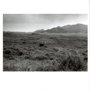 「山羊の肺 沖縄 1968-2005 / 平敷兼七」画像2