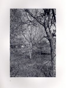 「FLOWERS and TREES / Lee Friedlander　」画像7