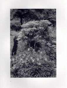 「FLOWERS and TREES / Lee Friedlander　」画像3