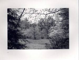 「FLOWERS and TREES / Lee Friedlander　」画像8