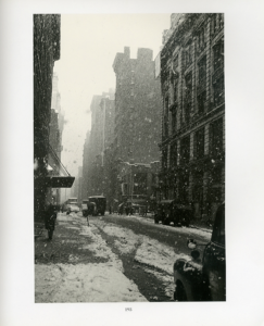 「THE NEW YORK SCHOOL PHOTOGRAPHS 1936-1963 / Text: Jane Livingston」画像2