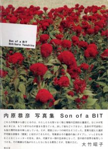 Son of a BITのサムネール