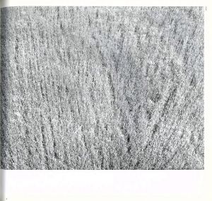 「Hysteric　松江泰治 / 松江泰治」画像1