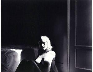 「BETWEEN THE TWO / Todd Hido」画像1