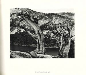 「Edward Weston's California Landscapes / Edward Weston」画像5