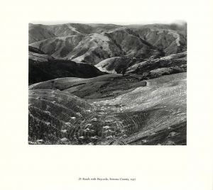 「Edward Weston's California Landscapes / Edward Weston」画像4