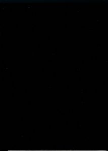 「SEDITIONARIES セディショナリーズ写真集 / 藤原ヒロシ 高橋盾 小林節正」画像1