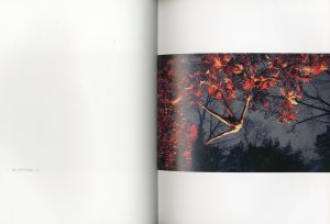 「You and I / Ryan McGinley」画像2