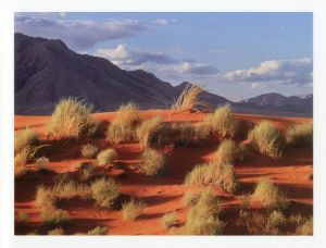 「NAMIBIA / Photo: Richard Ehrlich」画像2