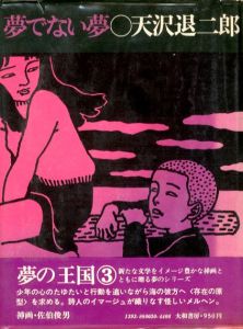 夢でない夢／著：天沢 退二郎　挿絵：佐伯俊男（Yume de nai Yume／Author: Taijiro Amazawa Illustration: Toshio Saeki)のサムネール