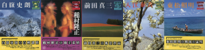 「昭和写真・全仕事 / 秋山庄太郎、白川義員、林忠彦、大竹省二 、土門拳、緑川洋一、三木淳、中村正也、奈良原一高、植田正治、白籏史朗、稲村隆正、前田真三、入江泰吉、東松照明」画像2