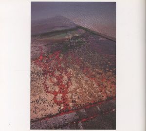 「Bloody Moon / 野村恵子」画像3